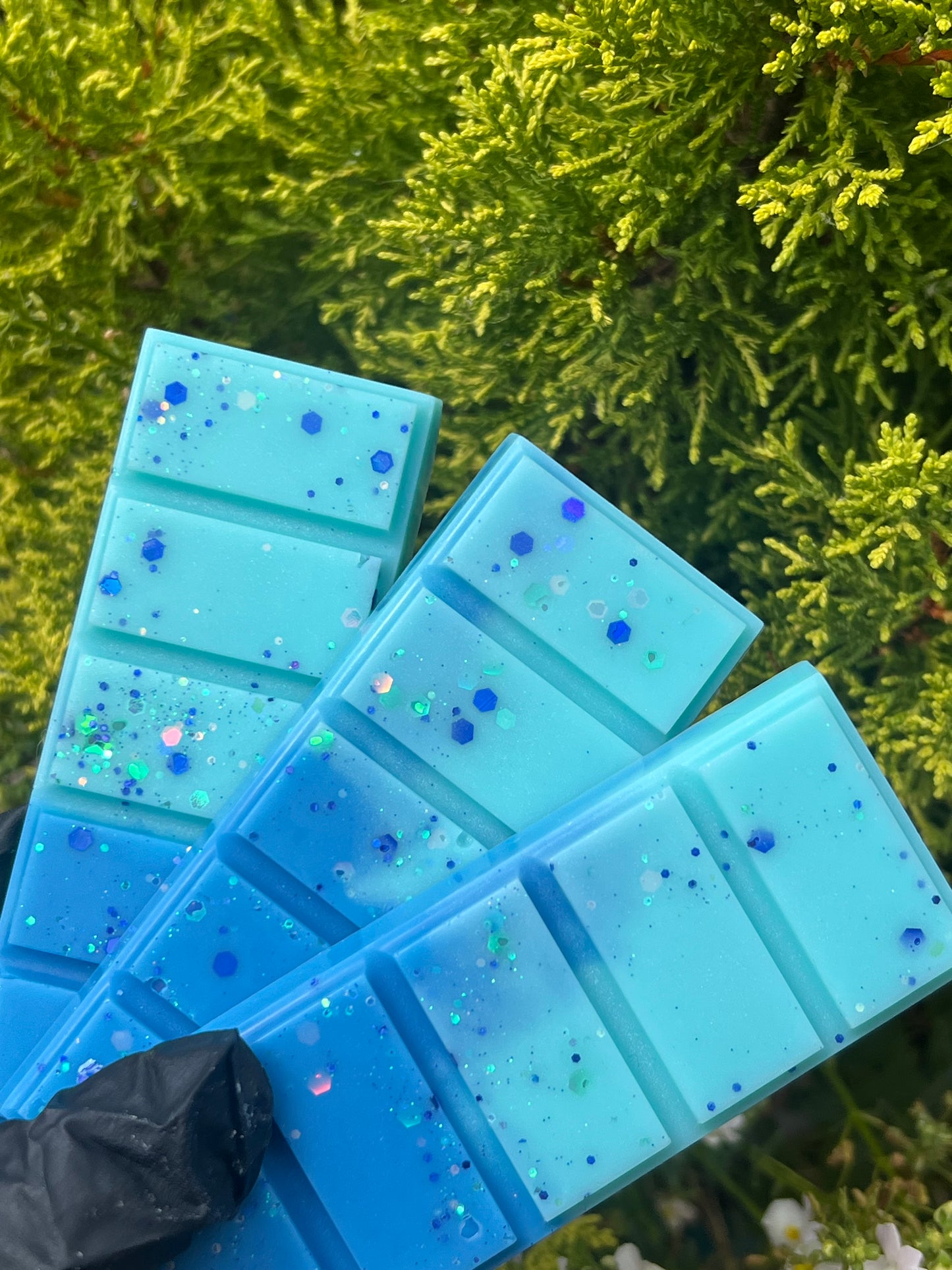 Cold Waters Snapbars 🌊🩵