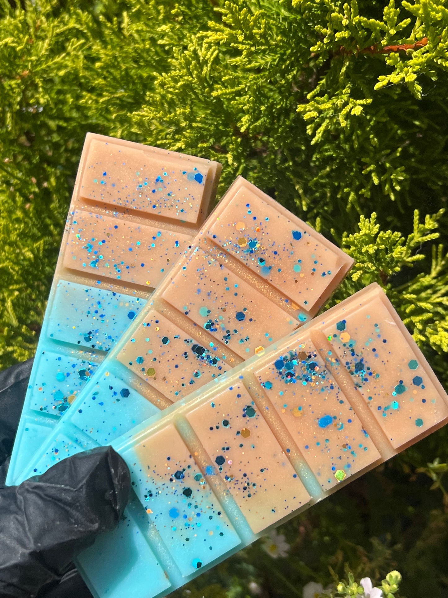 Beachside Bliss Snapbars 🏖️✨