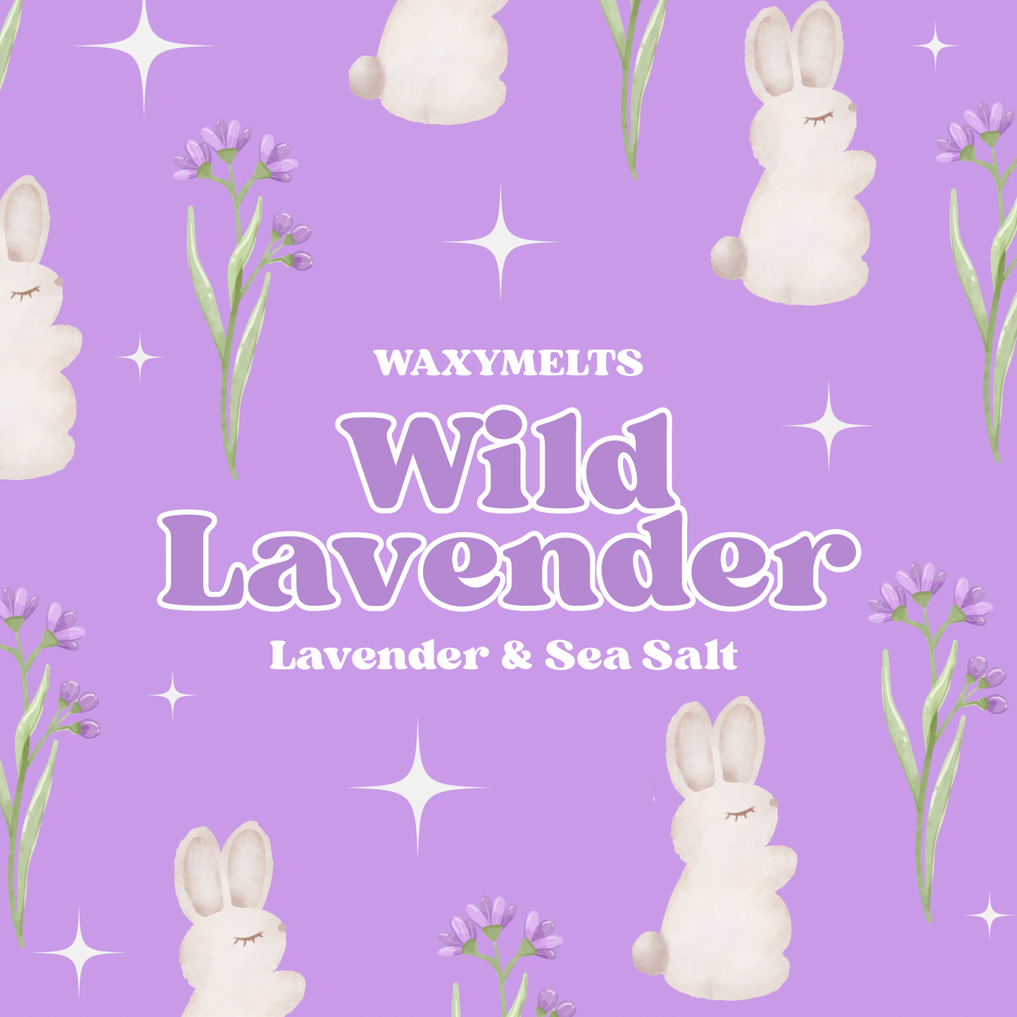 'Wild Lavender'