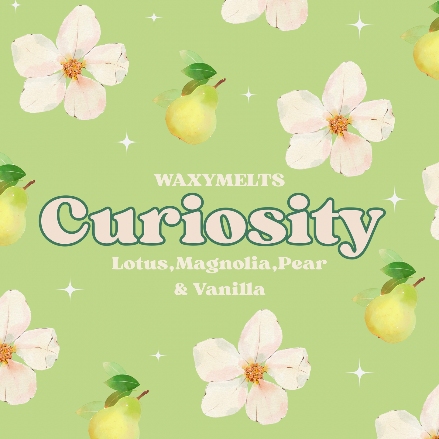 ‘Curiosity’ Snapbars