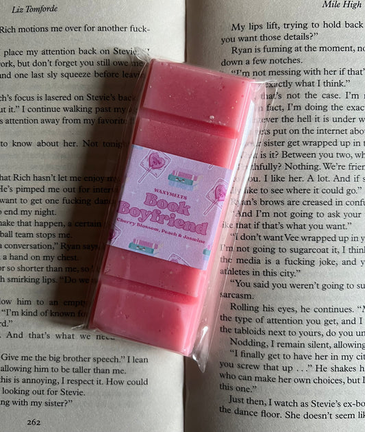 ‘Book Boyfriend’ Snapbars