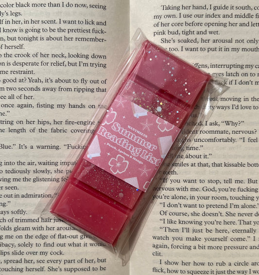 ‘Summer Reading List’ Snapbars