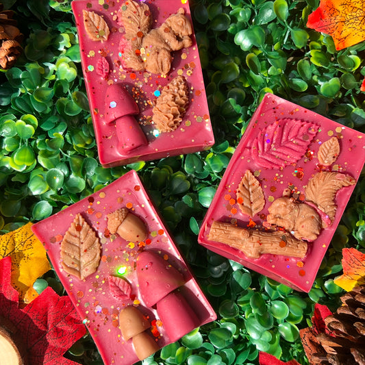 Wrapped In Autumn Slabs 🍁✨