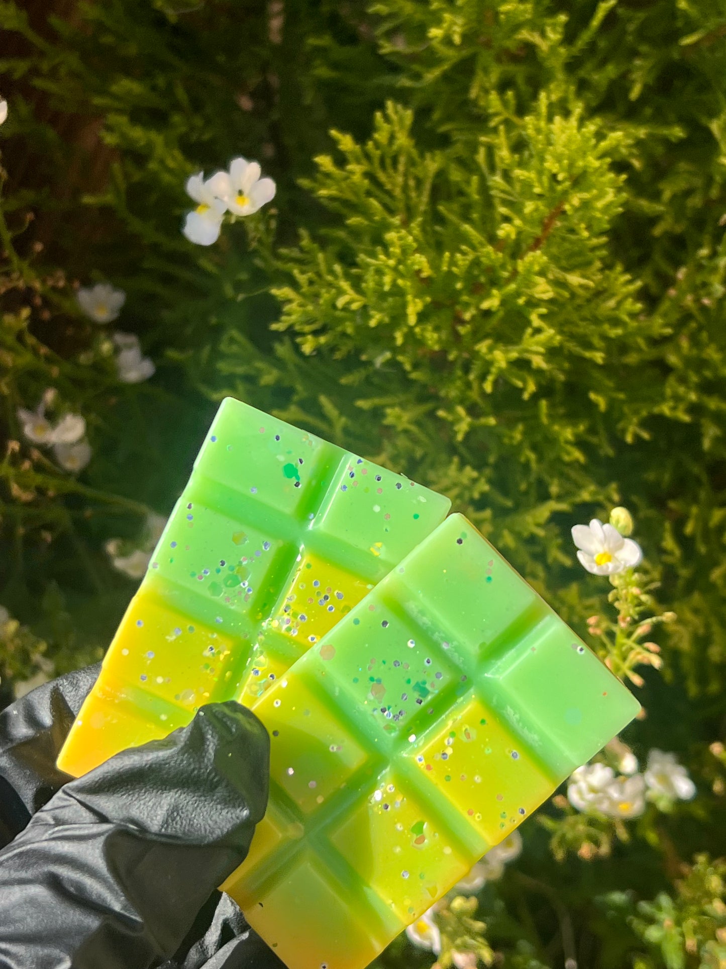 Daffodil Field Mini Snapbars 🌼